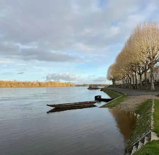 Le Relais De L'artiste 度假居 Turquant